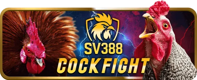 Hệ thống bảo mật và đội ngũ hỗ trợ khách hàng 24/7 của H3BET